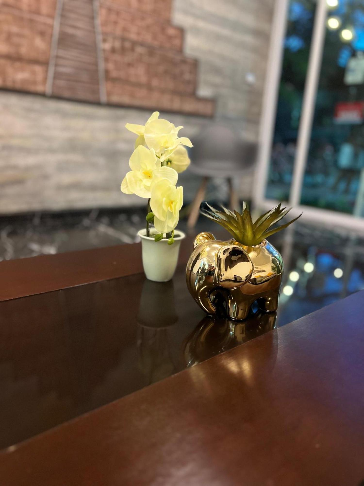 D'luxury Bakalar Hotel